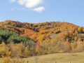 dsc02698