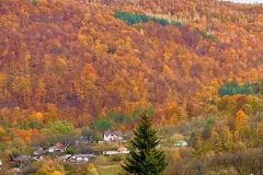 570461634_25076297268676123_6425561601131238019_n