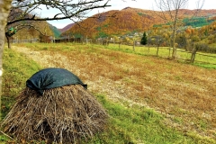 571111620_25076299815342535_6700188636393699355_n