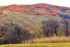 571124241_25076299825342534_3189903821848363075_n