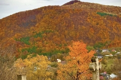 571172132_25076299472009236_8168880504504334981_n