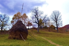 571194358_25076300492009134_908902413319051790_n