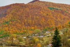 571216285_25076296352009548_6722007896256729360_n