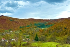 571223324_25076297555342761_6037064996282731269_n