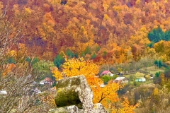 571237053_25076296818676168_7238459825085389781_n