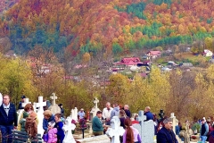 571311976_25076300142009169_6192454909464122686_n