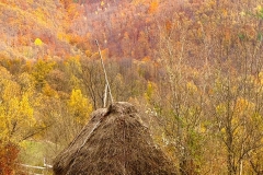 571324729_25076297078676142_5191050143813405215_n