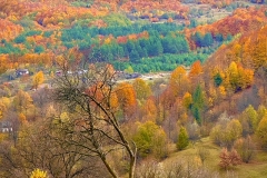 571374241_25076296388676211_81677237038501323_n