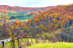 572778696_25076295245342992_5726291115536880979_n