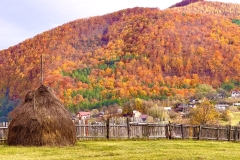 573548672_25076297825342734_2672642606190641866_n